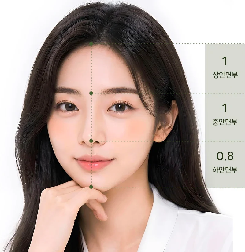 이상적인 얼굴 비율 도해 — 상안면부 1 : 중안면부 1 : 하안면부 0.8